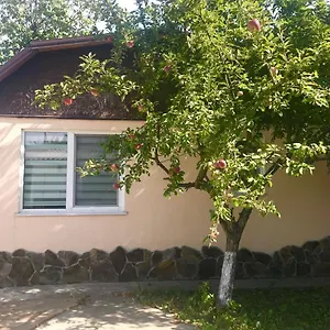 Апартаменты With Kitchen And Garden, Киев